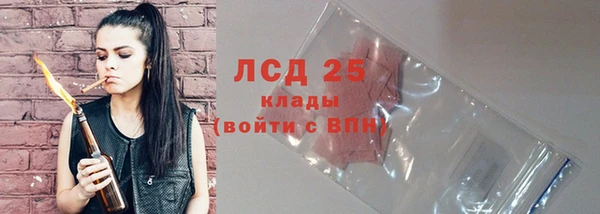 стафф Бородино
