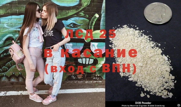 стафф Бородино