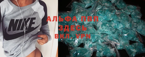 стафф Бородино