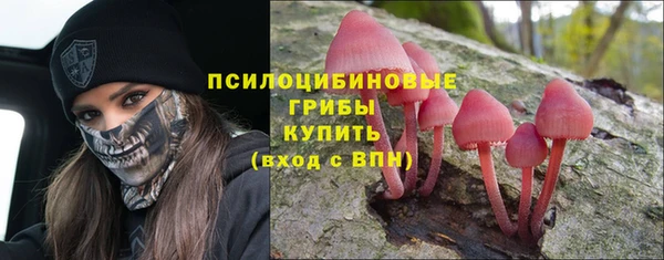 спиды Бронницы