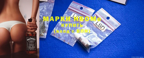 стафф Бородино