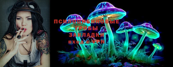 спиды Бронницы