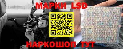 СК Обь