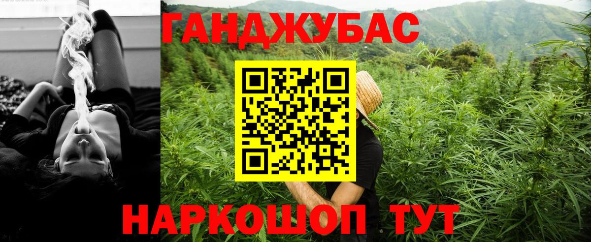Шишки марихуана марихуана Элиста